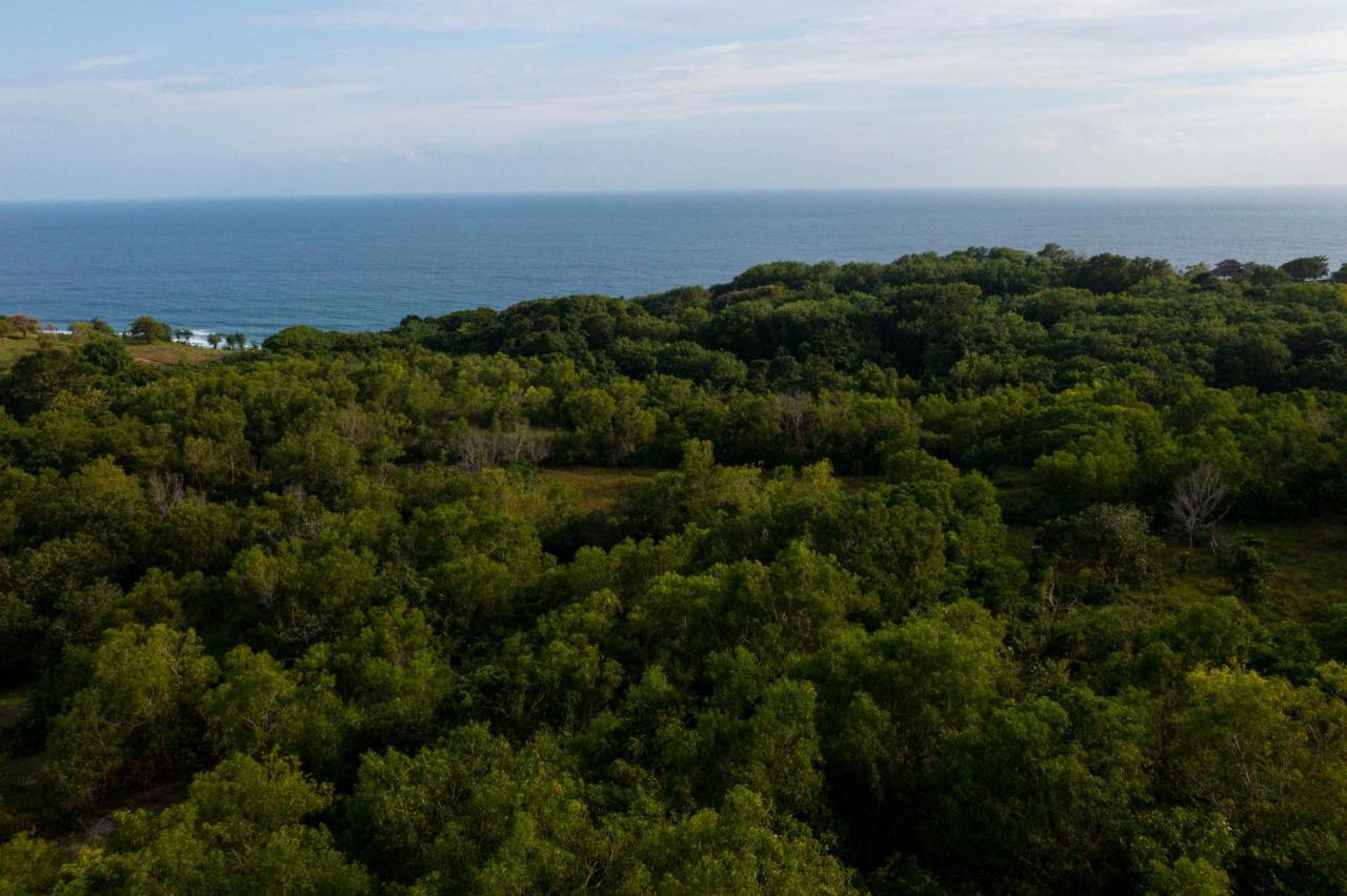 Moritz Palm Villa Ungasan Buitenkant foto